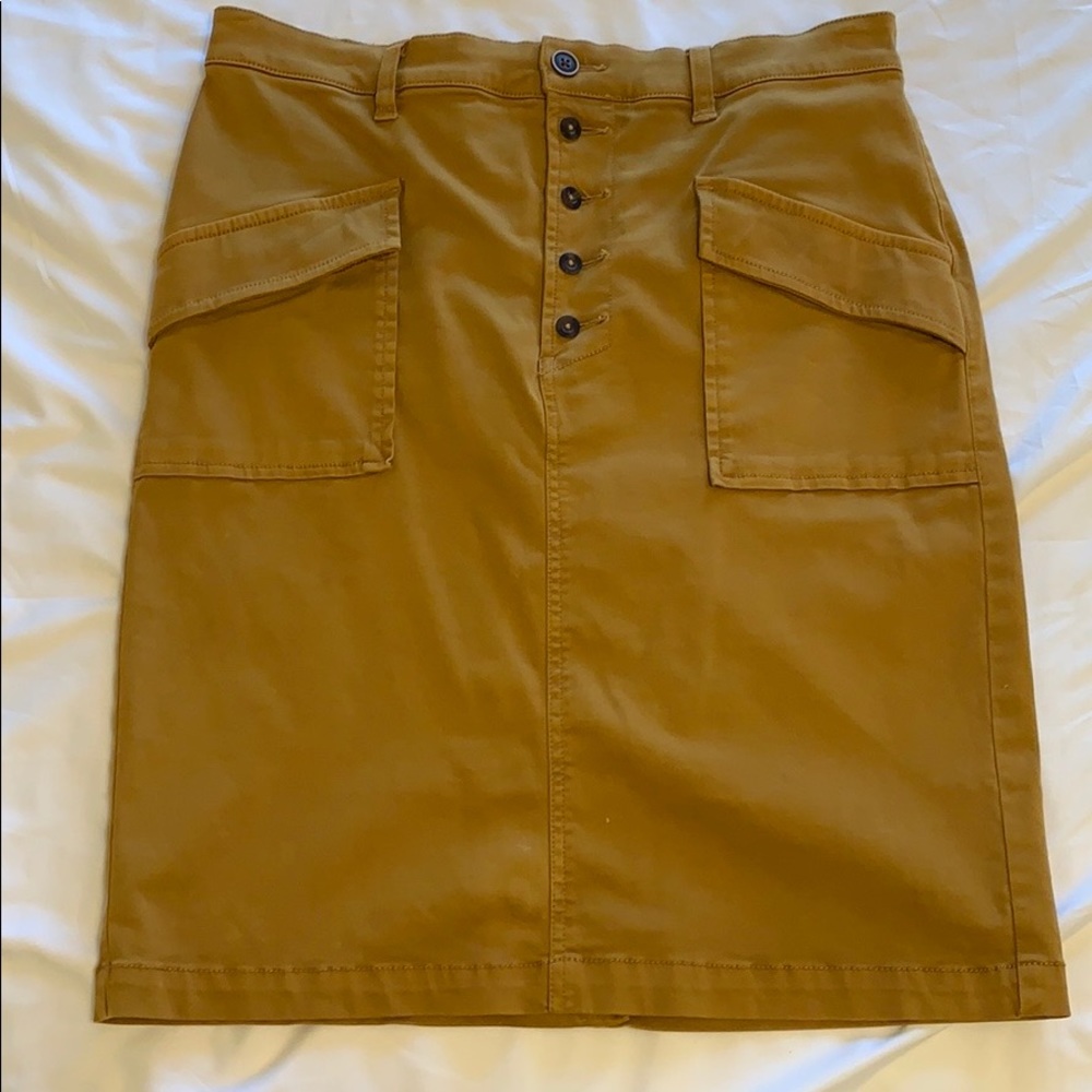 Anthropolgie Skirt